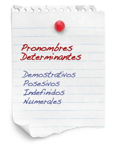 pronombres-determinantes.jpg